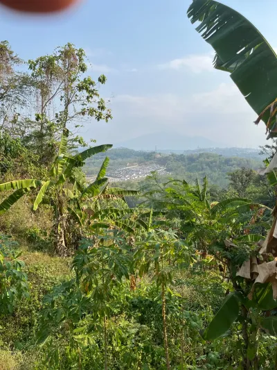DIJUAL CEPAT TANAH STRATEGIS TEMBALANG SEMARANG