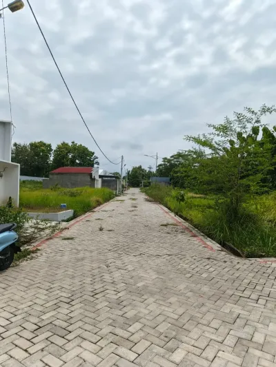 Dijual Kavling Perumahan & Rumah Area Raya Simo Tuban – Total Lahan 1 Hektar, Potensi Investasi Menjanjikan - Galeri 7