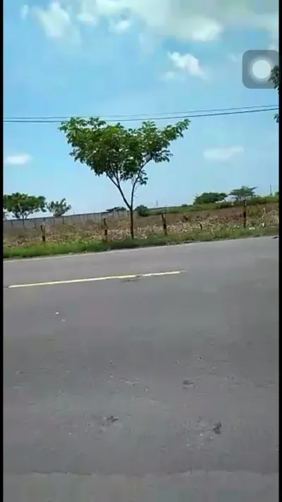 Dijual Tanah 4 Hektar di Tuban – Luas, Strategis & Potensi Besar  - Galeri 2