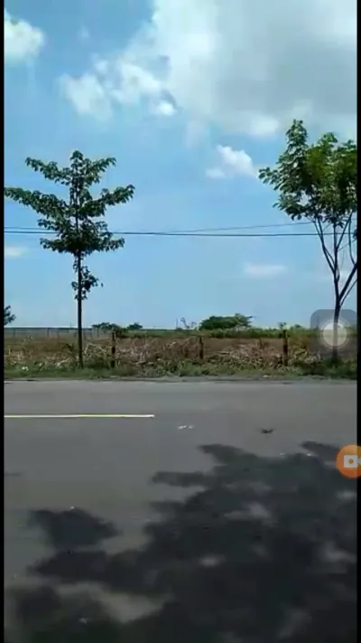Dijual Tanah 4 Hektar di Tuban – Luas, Strategis & Potensi Besar  - Galeri 3