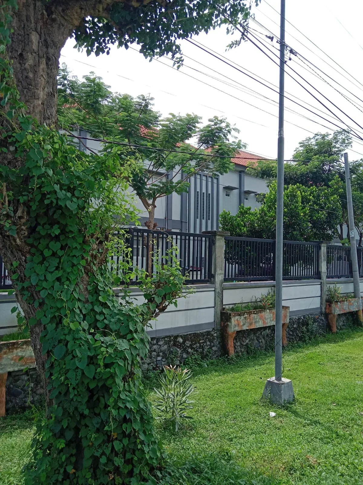 DIJUAL TANAH DAERAH JOMBANG - LINGKUNGAN NYAMAN - Galeri 2