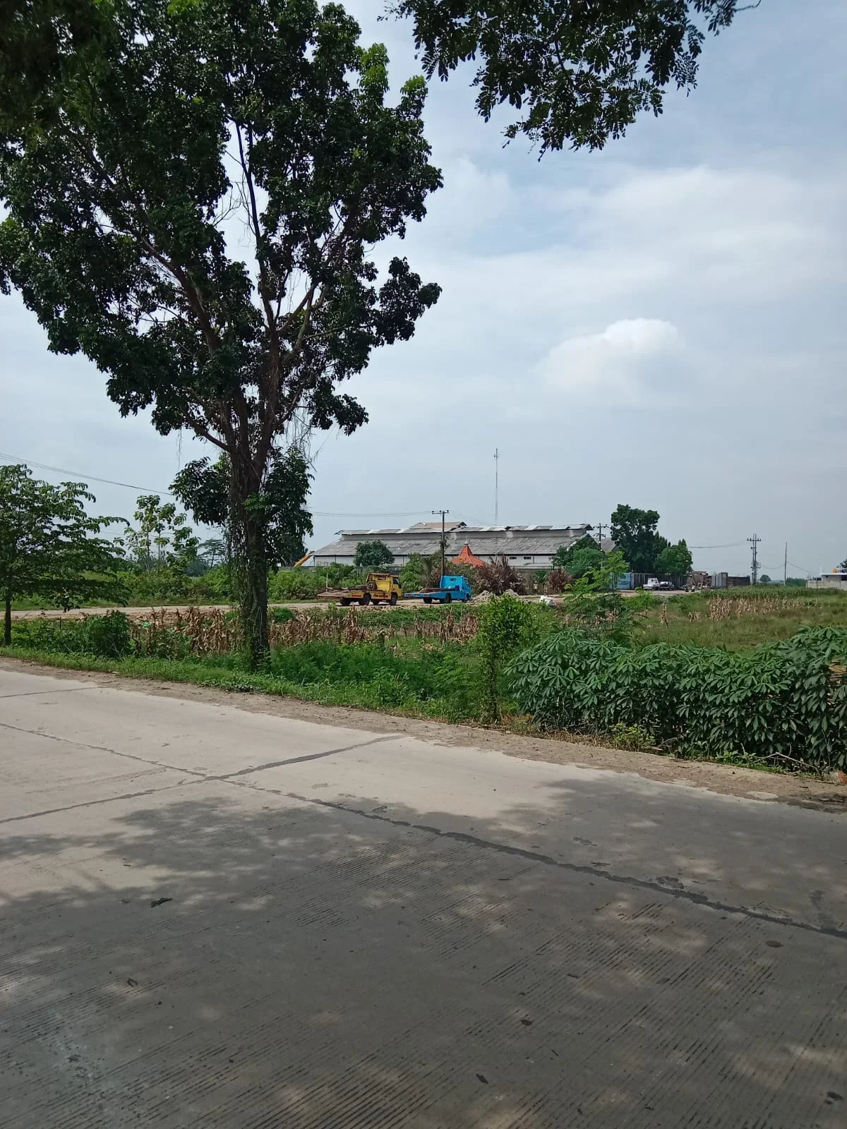 DIJUAL TANAH DAERAH JOMBANG - LINGKUNGAN NYAMAN - Galeri 5