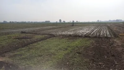 DIJUAL TANAH DAERAH JOMBANG - LINGKUNGAN NYAMAN - Galeri 9