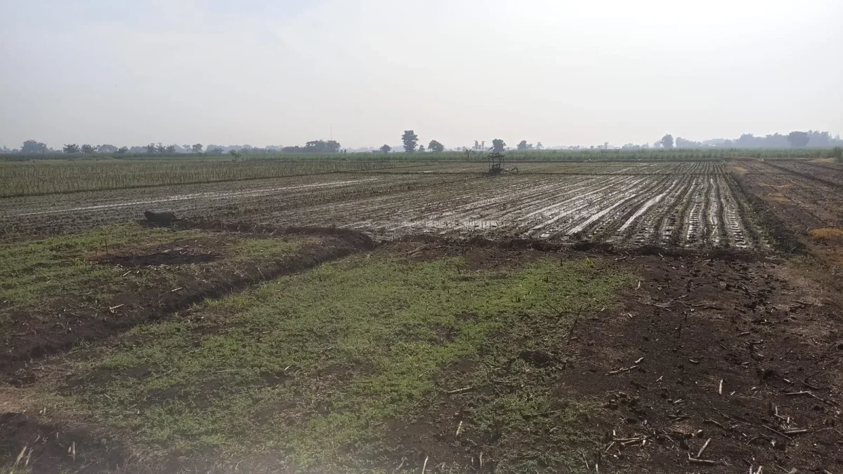 DIJUAL TANAH DAERAH JOMBANG - LINGKUNGAN NYAMAN - Galeri 9