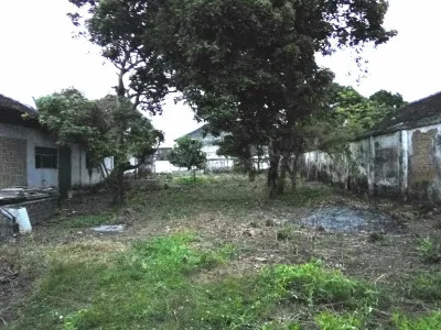 Dijual Tanah Komersial Strategis Nol Jalan Raya Puger, Jember  - Galeri 5