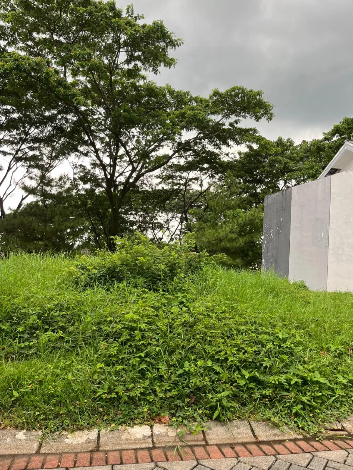 DIJUAL TANAH TAMAN DAYU 