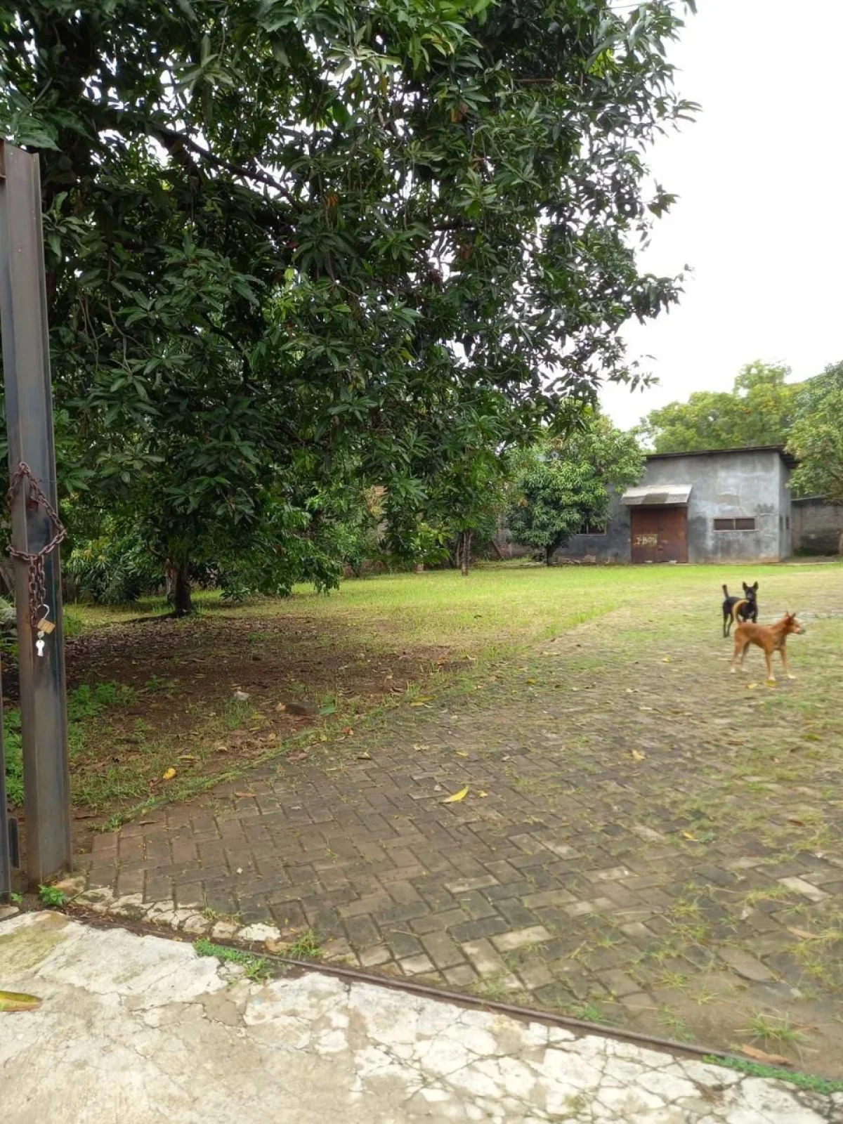 Tanah Batu Ceper - Tanggerang Banten - Galeri 2